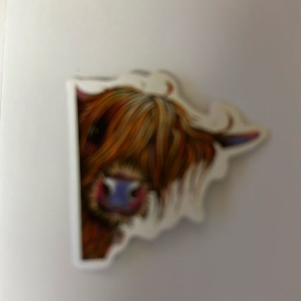 Highland Cow Sticker Western Farmhouse‎ Decor Highland Cattle